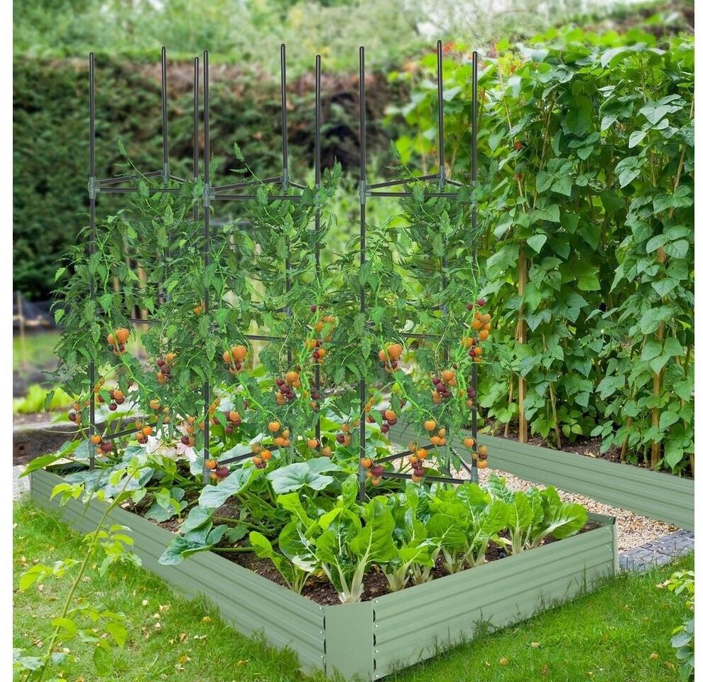 Hochbeet mit Rankhilfe Pflanzen