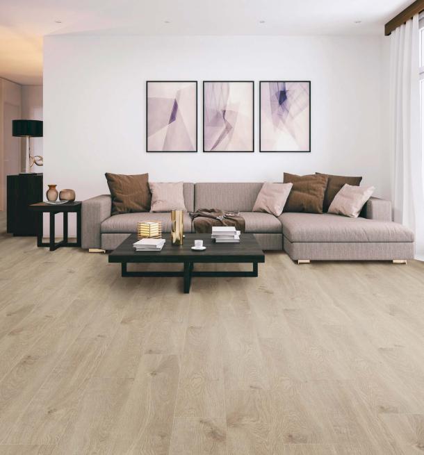Modernes Wohnzimmer mit Laminat und Möbeln